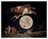 Chris, cow-jumping-over-the-moon.jpg