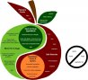 Perfect Health Diet Food Chart.jpg