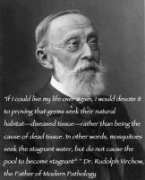 virchow-quote-germs.jpg