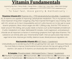 Vitamin Primer Teaser.png
