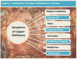 copper-deficiency.jpg