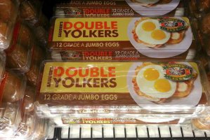double yolk eggs.jpg