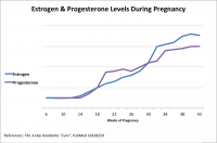 Pregnancy-Estrogen-Progesterone.png