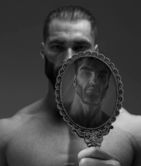 Gigachad in the mirror.png