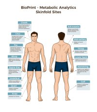 Bioprint-infographic3-01.jpg