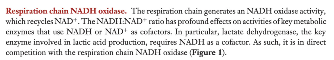 higher ph more D-lactic acid?.png