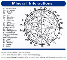 mineral-wheel.jpg
